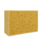 4483 Alfa Handwerkerschwamm